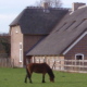 pannenboerderij Vathorst 1